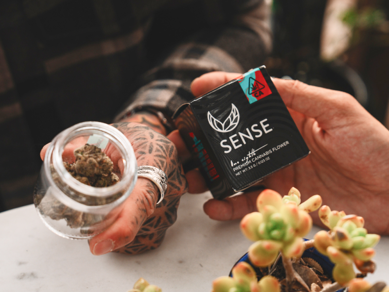 50% Off Sense 50% Off Sense