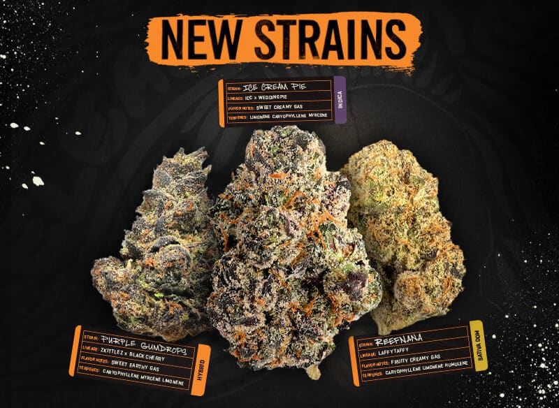 New REEFORM Strains