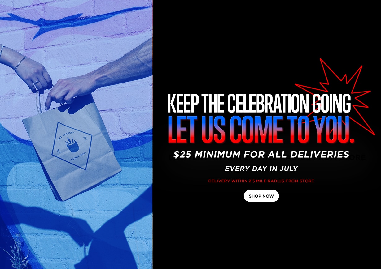 Delivery Update