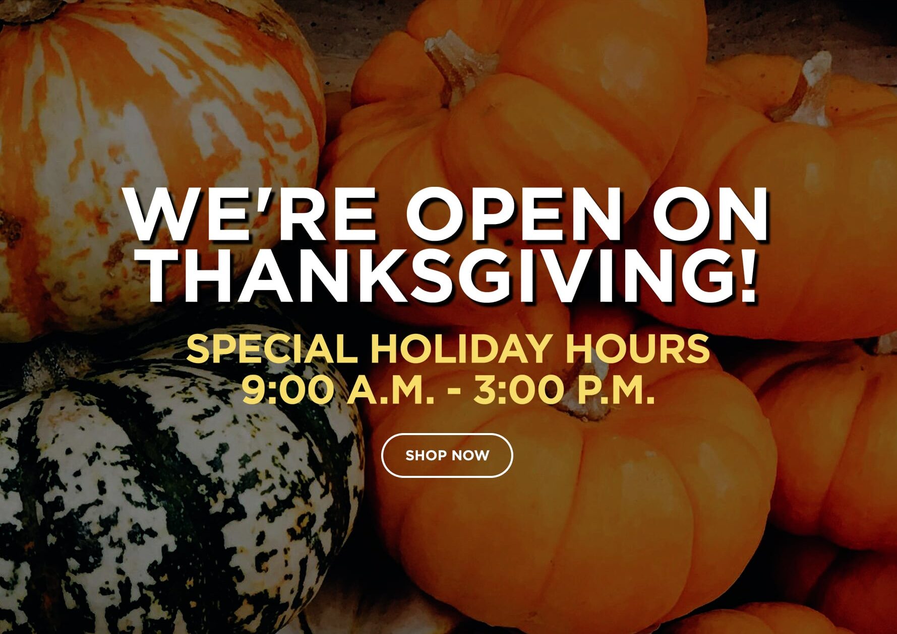 Pottery Thanksgiving Hours