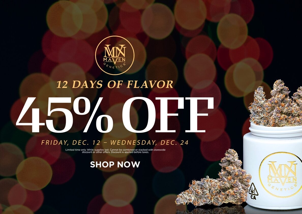 12 Days of Christmas